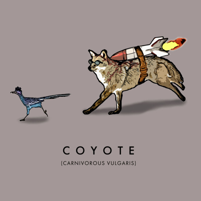 Coyote & Roadrunner 12 Vintage Short | Artistshot