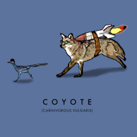 Coyote & Roadrunner 12 Lightweight Hoodie | Artistshot