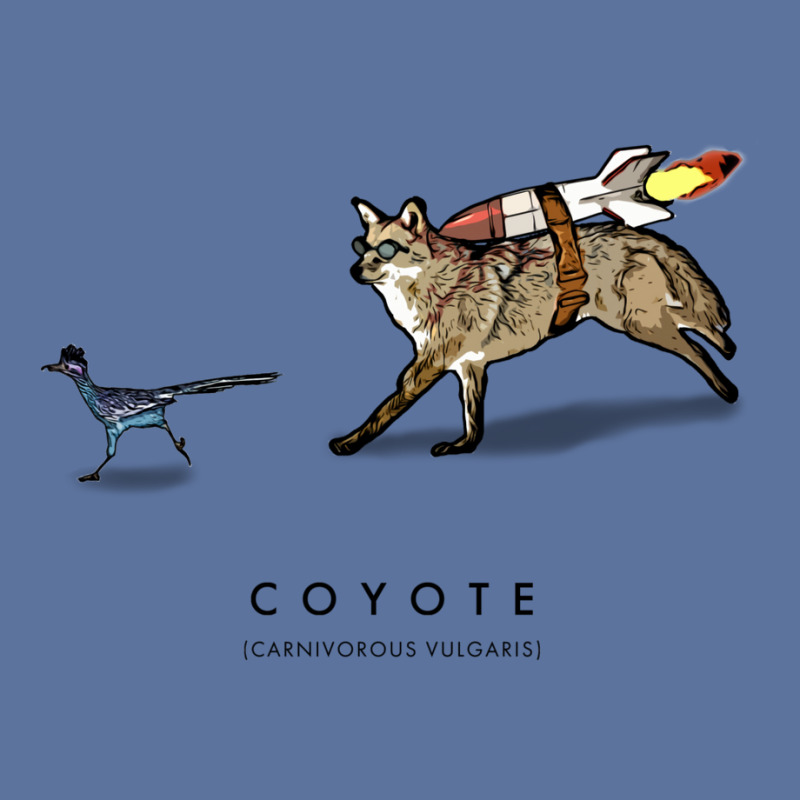 Coyote & Roadrunner 12 Lightweight Hoodie | Artistshot