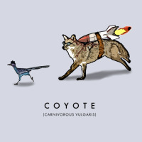 Coyote & Roadrunner 12 Fleece Short | Artistshot