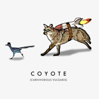 Coyote & Roadrunner 12 Champion Hoodie | Artistshot