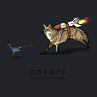 Coyote & Roadrunner 14 Lightweight Hoodie | Artistshot