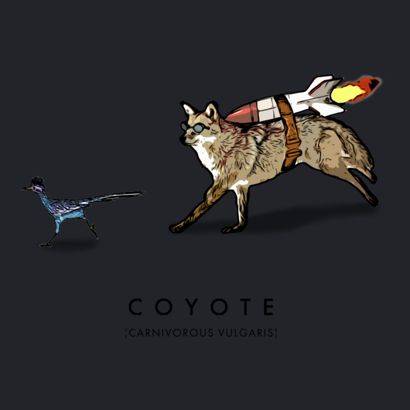 Coyote & Roadrunner 14 Lightweight Hoodie | Artistshot