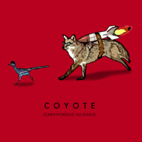 Coyote & Roadrunner 38 Classic T-shirt | Artistshot