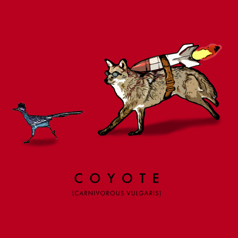 Coyote & Roadrunner 38 Classic T-shirt | Artistshot