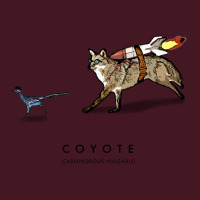 Coyote & Roadrunner 71 Unisex Hoodie | Artistshot