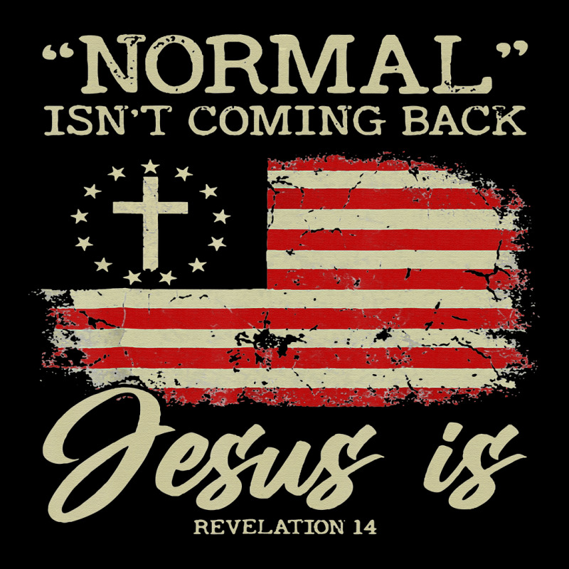 Normal Isnt Coming Back But Jesus Is Revelation 14 Maternity Scoop Neck T-shirt by lauUPTEES | Artistshot