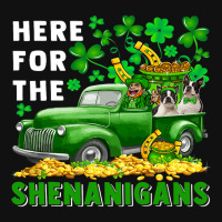 Here For Shenanigans St.patricks Boy With Boston T Graphic T-shirt | Artistshot