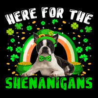 Here For The Shenanigans Patricks Day Boston Terri Cropped Sweater | Artistshot