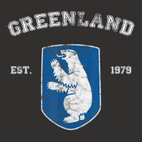 Vintage Coat Of Arms Greenland T Shirt Champion Hoodie | Artistshot