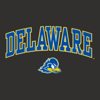 Delaware Fightin' Blue Hens Arch Over Heather Gray Champion Hoodie | Artistshot