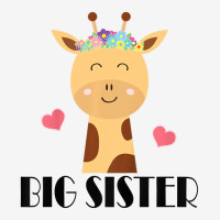 Kids Big Sister Giraffe Big Sis T Shirt Youth 3/4 Sleeve | Artistshot