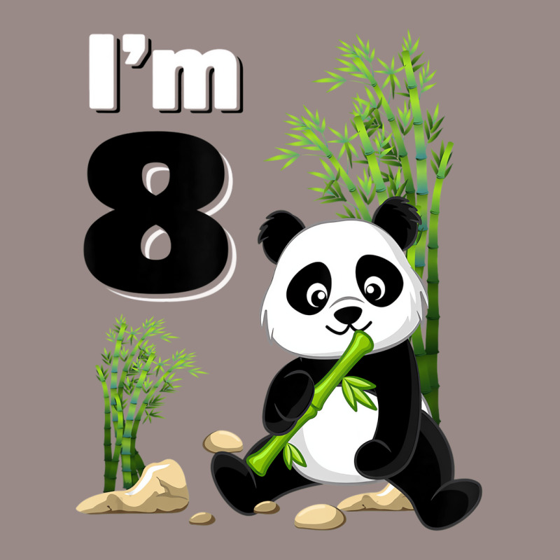 8 Year Old Gifts 8th Birthday Party Animal Panda L Vintage T-shirt | Artistshot