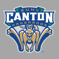 Suny Canton Toddler Sweatshirt | Artistshot