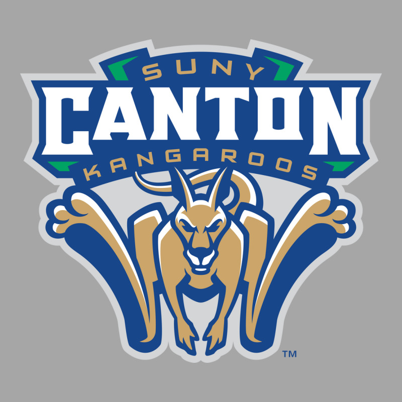 Suny Canton Toddler Sweatshirt | Artistshot