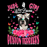 Cute Dog Lover Just A Girl Who Loves Boston Terrie Maternity Scoop Neck T-shirt | Artistshot