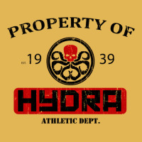 Hydra Athletic Dept. Vintage Hoodie And Short Set | Artistshot