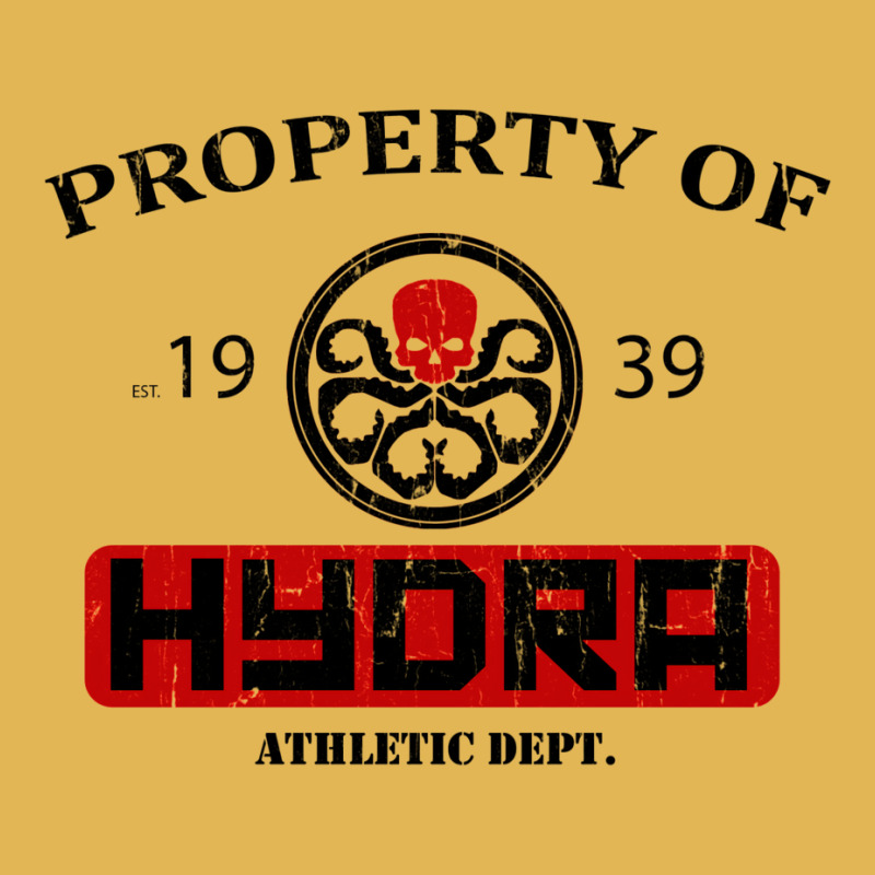 Hydra Athletic Dept. Vintage Hoodie And Short Set by hackelsodrulg | Artistshot