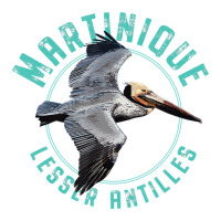 Martinique Lesser Antilles T Shirt Unisex Hoodie | Artistshot