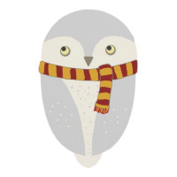 An Owl And Scarf Women's V-neck T-shirt | Artistshot