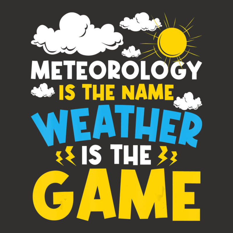 Meteorology Is The Name Weather   Meteorologist Fo Champion Hoodie | Artistshot