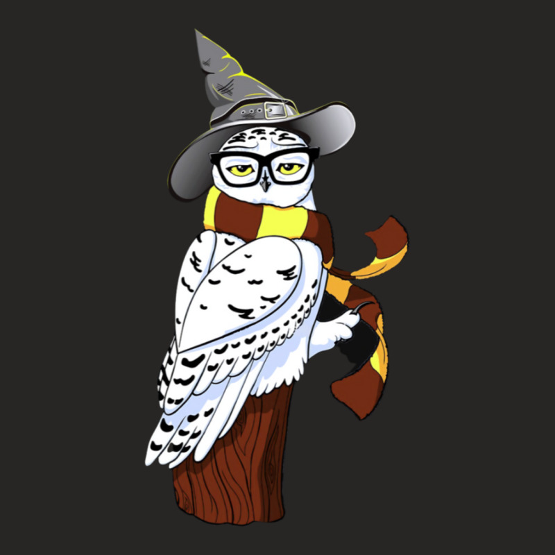 An Owl In A Hat And Stripey Scarf Ladies Fitted T-Shirt by alfanomearsb | Artistshot