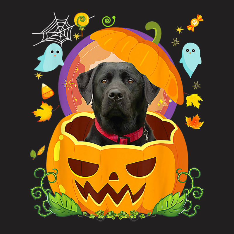 Black Labrador Witch Pumpkin Halloween Dog Lover F T-shirt | Artistshot