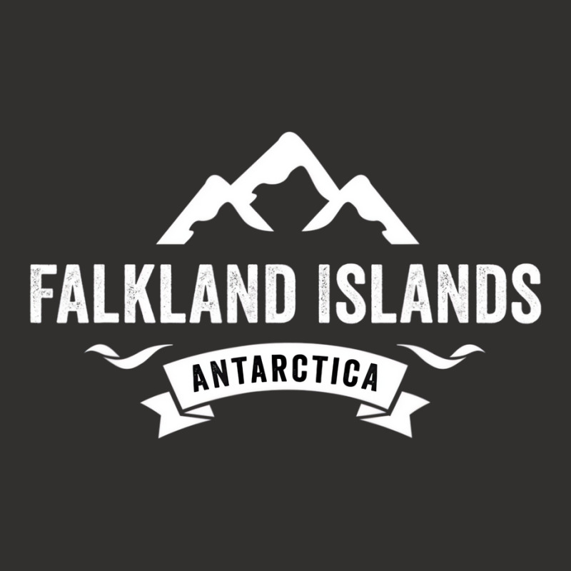 Falkland Islands Antarctica T Shirt Champion Hoodie by bonne | Artistshot