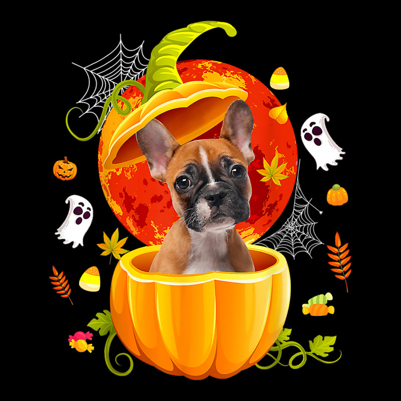 Boston Terrier Witch Pumpkin Halloween Dog Lover F Long Sleeve Shirts | Artistshot
