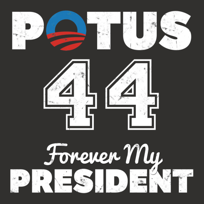 Potus 44 Forever My President Champion Hoodie | Artistshot