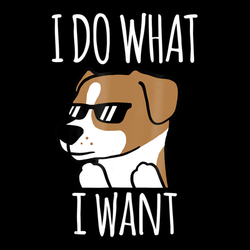 I Do What I Want Jack Russell Terrier T Shirt Funn Youth Sweatshirt by fiddolamuf | Artistshot