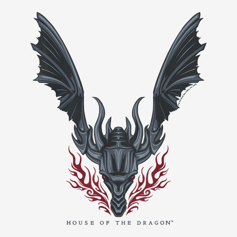 House Of The Dragon Flames In Flight T Shirt Graphic T-shirt | Artistshot