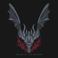 House Of The Dragon Flames In Flight T Shirt Flannel Shirt | Artistshot