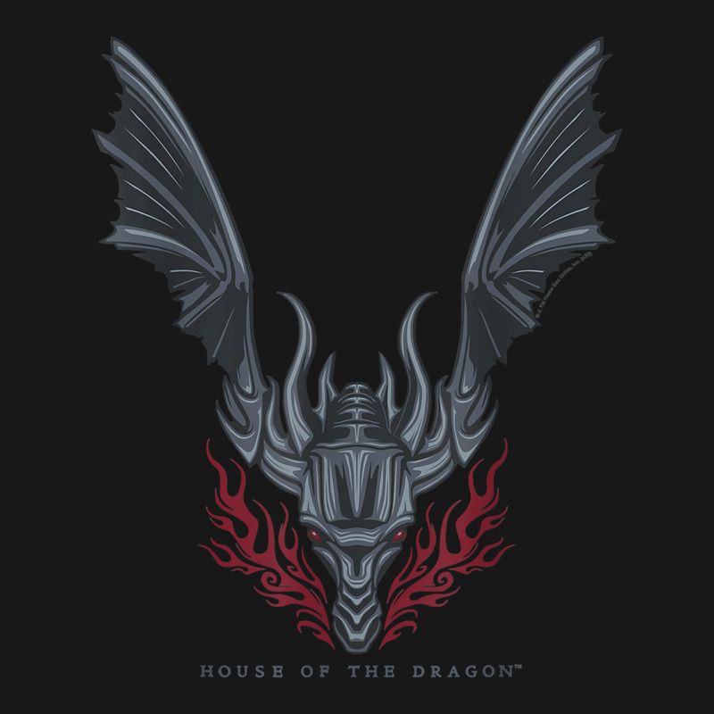 House Of The Dragon Flames In Flight T Shirt Flannel Shirt | Artistshot