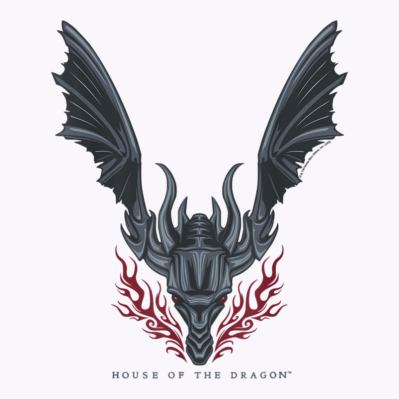 House Of The Dragon Flames In Flight T Shirt Tank Top | Artistshot