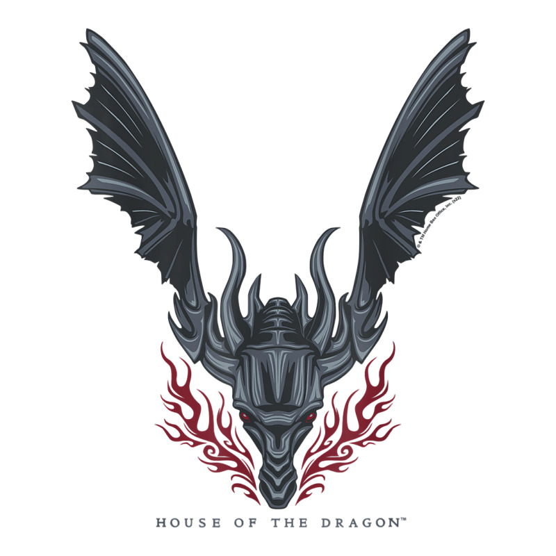 House Of The Dragon Flames In Flight T Shirt Crewneck Sweatshirt | Artistshot