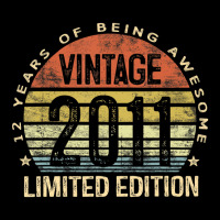 Vintage 2011 Limited Edition 12 Year Old Gifts 12t Youth Hoodie | Artistshot