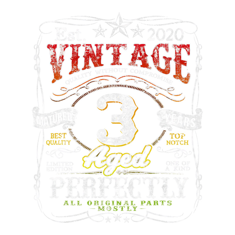 Vintage 2020 Limited Edition 3 Year Old 3rd Birthd V-Neck Tee by catricegar | Artistshot