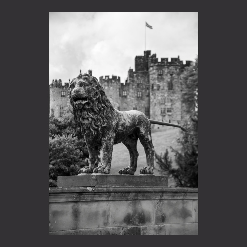 Alnwick Castle Lion Statue Vintage Hoodie And Short Set by caplessoroan | Artistshot