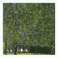 Park By Gustav Klimt T-shirt | Artistshot