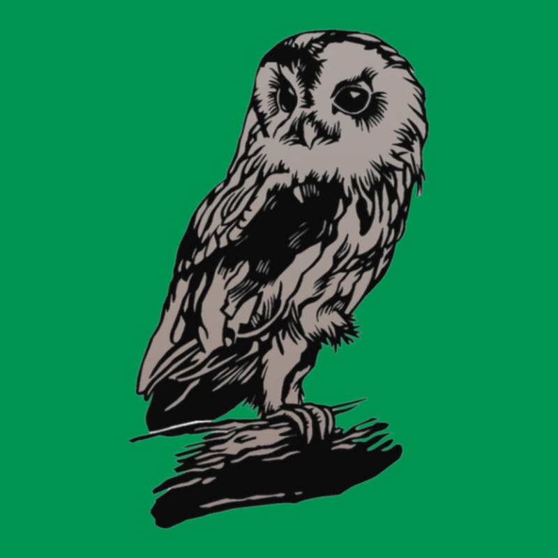 Dark Owl Classic T-shirt by didwaycarw | Artistshot