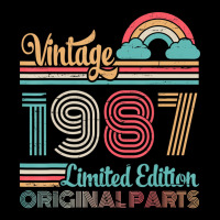 Vintage 1987 Ltd Edition Original Parts 35 Years M Youth Hoodie | Artistshot