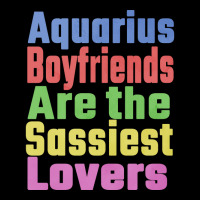 Aquarius Boyfriends Are The Sassiest Lovers Unique Lightweight Hoodie | Artistshot