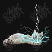 Cat Lightning   1 Graphic T-shirt | Artistshot