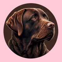 Chocolate Labrador Retriever Stars Graphic T-shirt | Artistshot