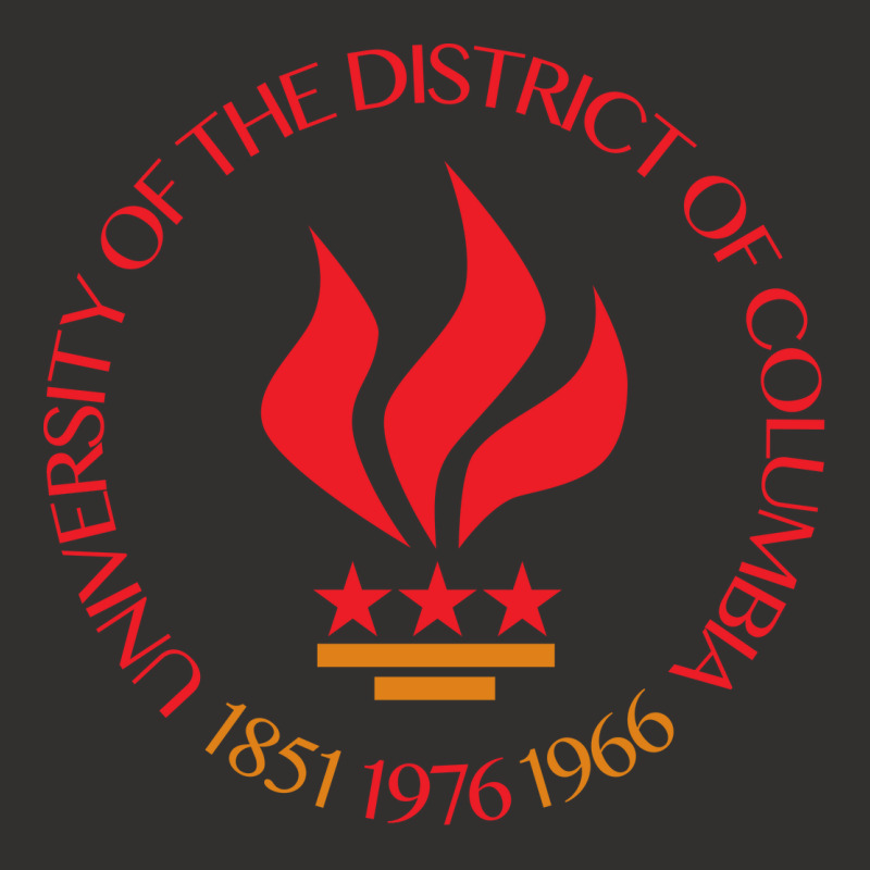 University Of The District Of Columbia Champion Hoodie by tonyleo | Artistshot