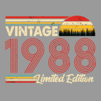 Vintage 1988 Birthday  Limited Edition 1988 Birthd Graphic T-shirt | Artistshot