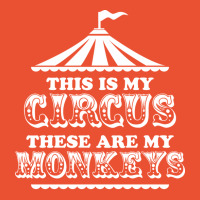 This Is My Circus These Are My Monkeys Boy Hipster Ladies Fitted T-shirt | Artistshot