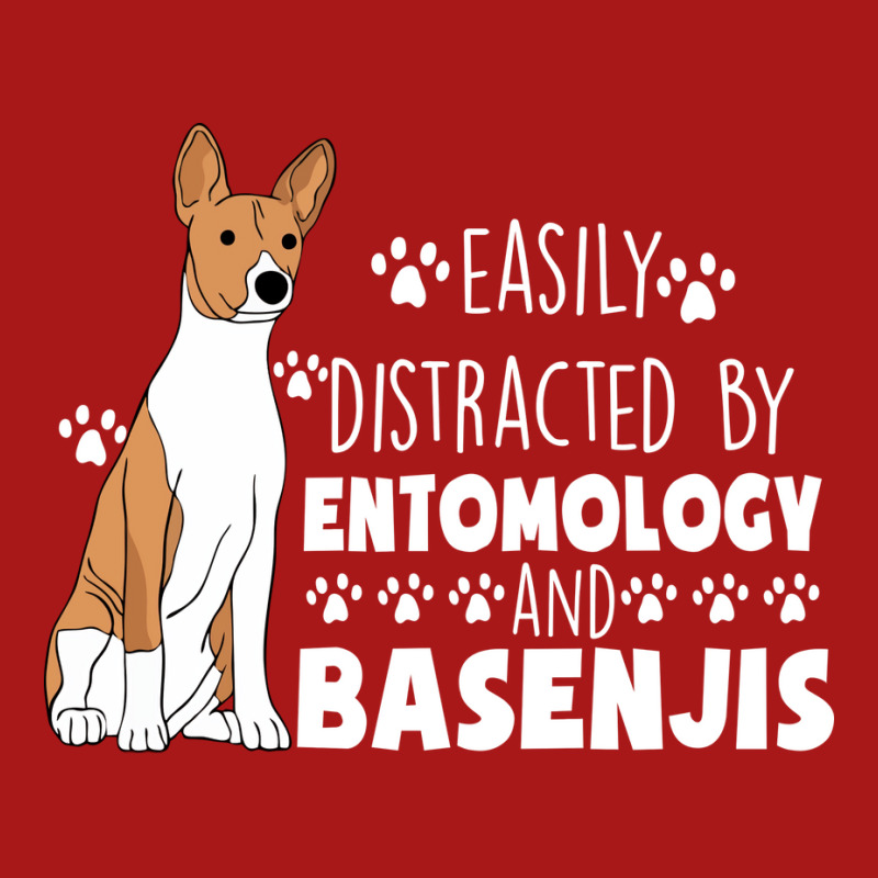 Entomology And Basenjis Summer Hoodie & Jogger Set | Artistshot