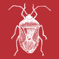 Entomology Insects Nostalgia T-shirt | Artistshot